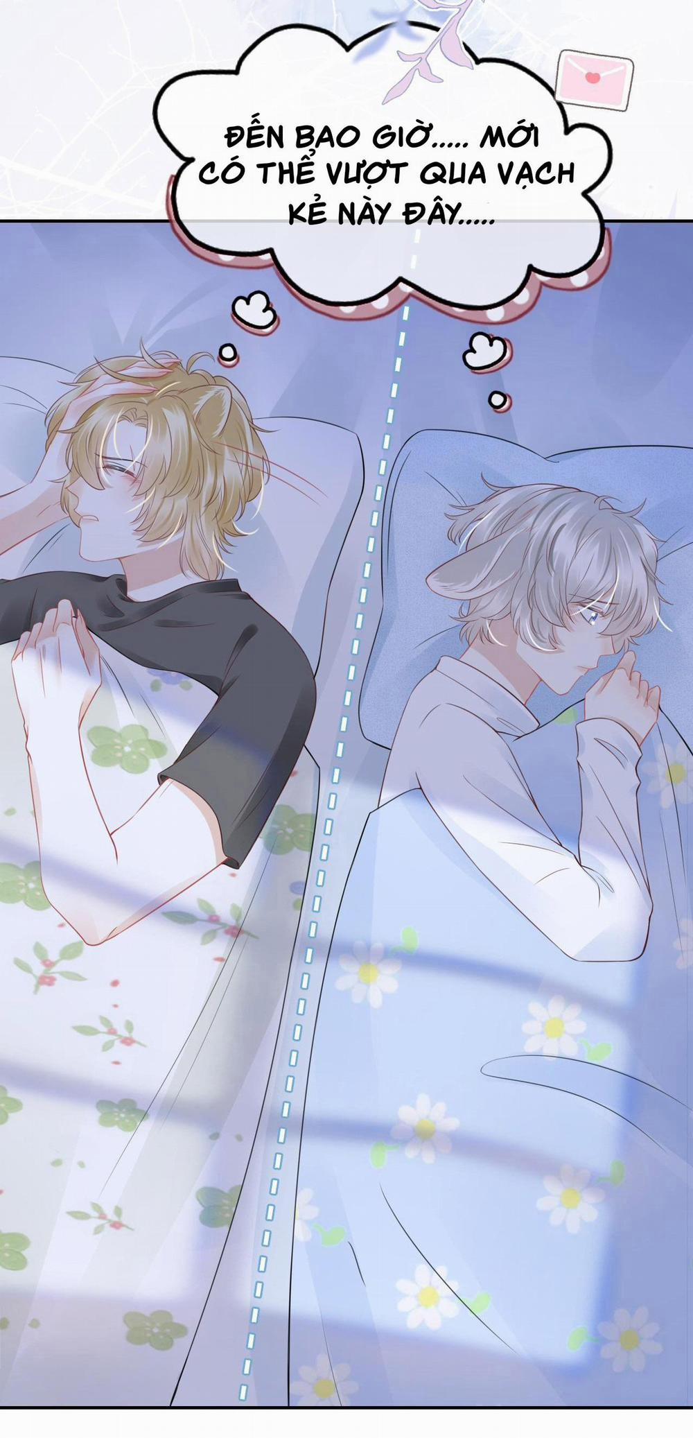 Một Ngụm Ăn Cả Thỏ Con 44 trang 41