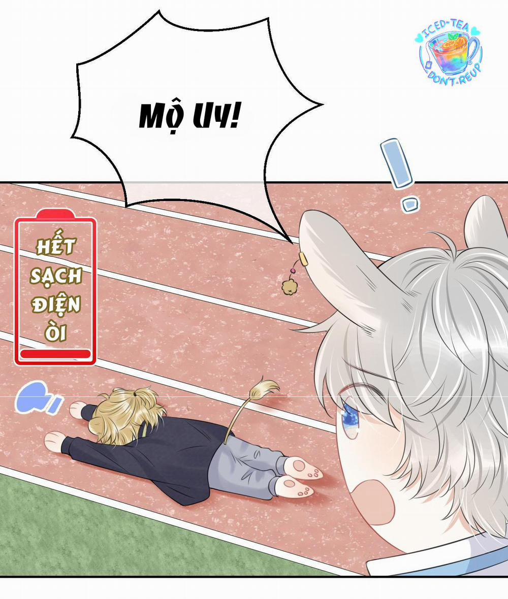 Một Ngụm Ăn Cả Thỏ Con 45 trang 36