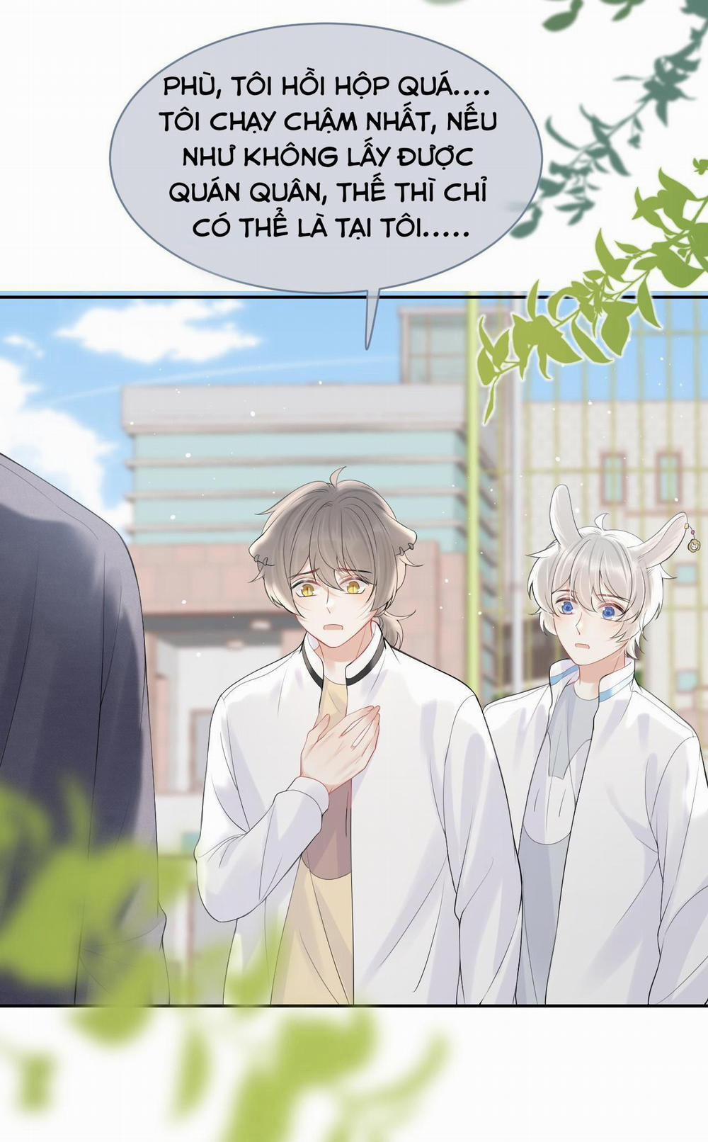 Một Ngụm Ăn Cả Thỏ Con 47 trang 8