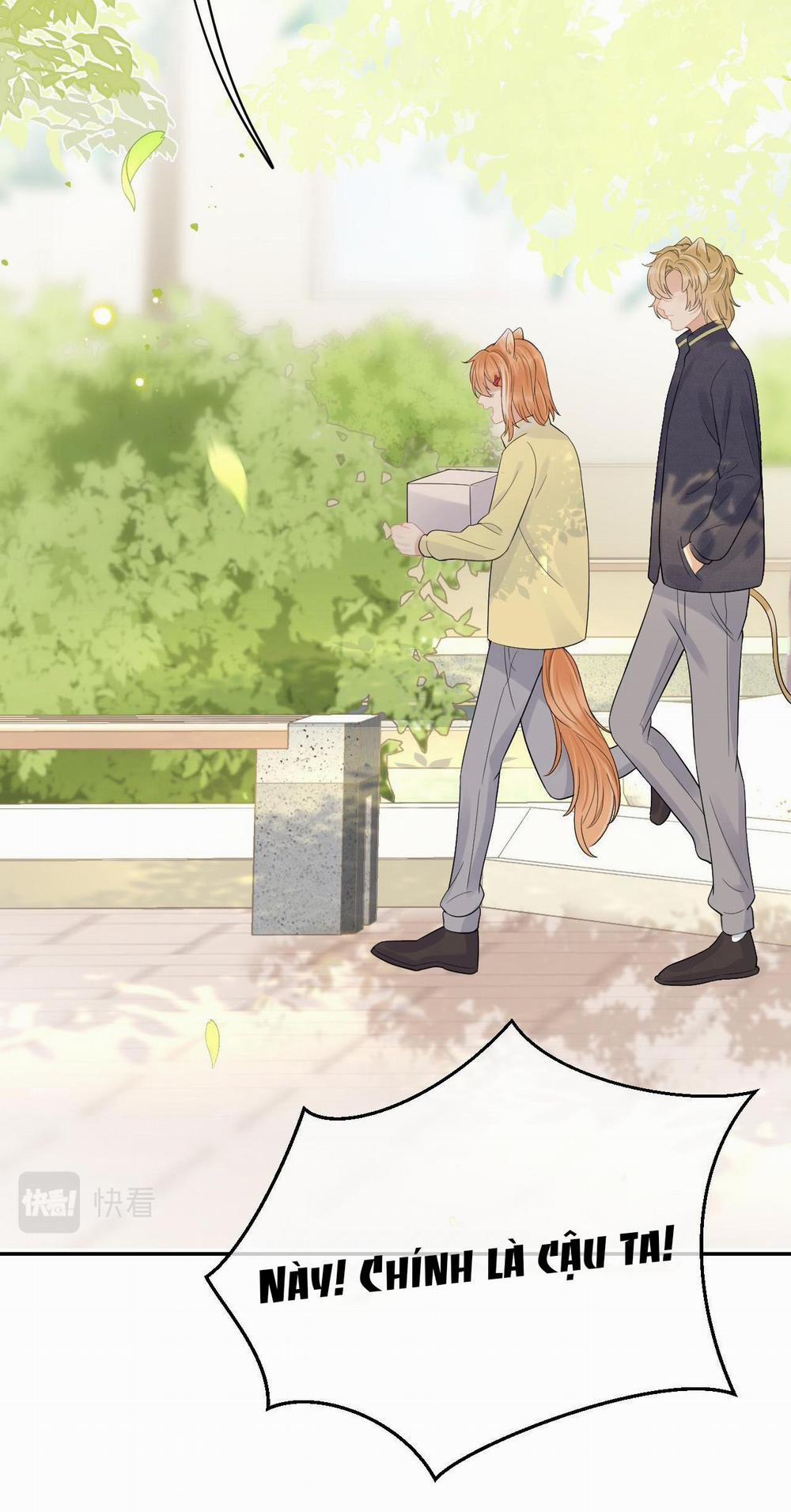 Một Ngụm Ăn Cả Thỏ Con 48 trang 14