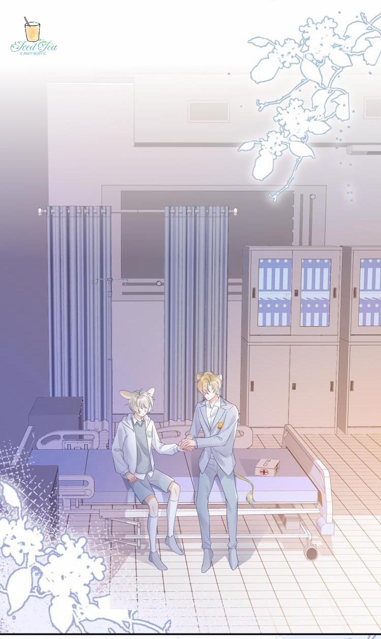 Một Ngụm Ăn Cả Thỏ Con 5 trang 1