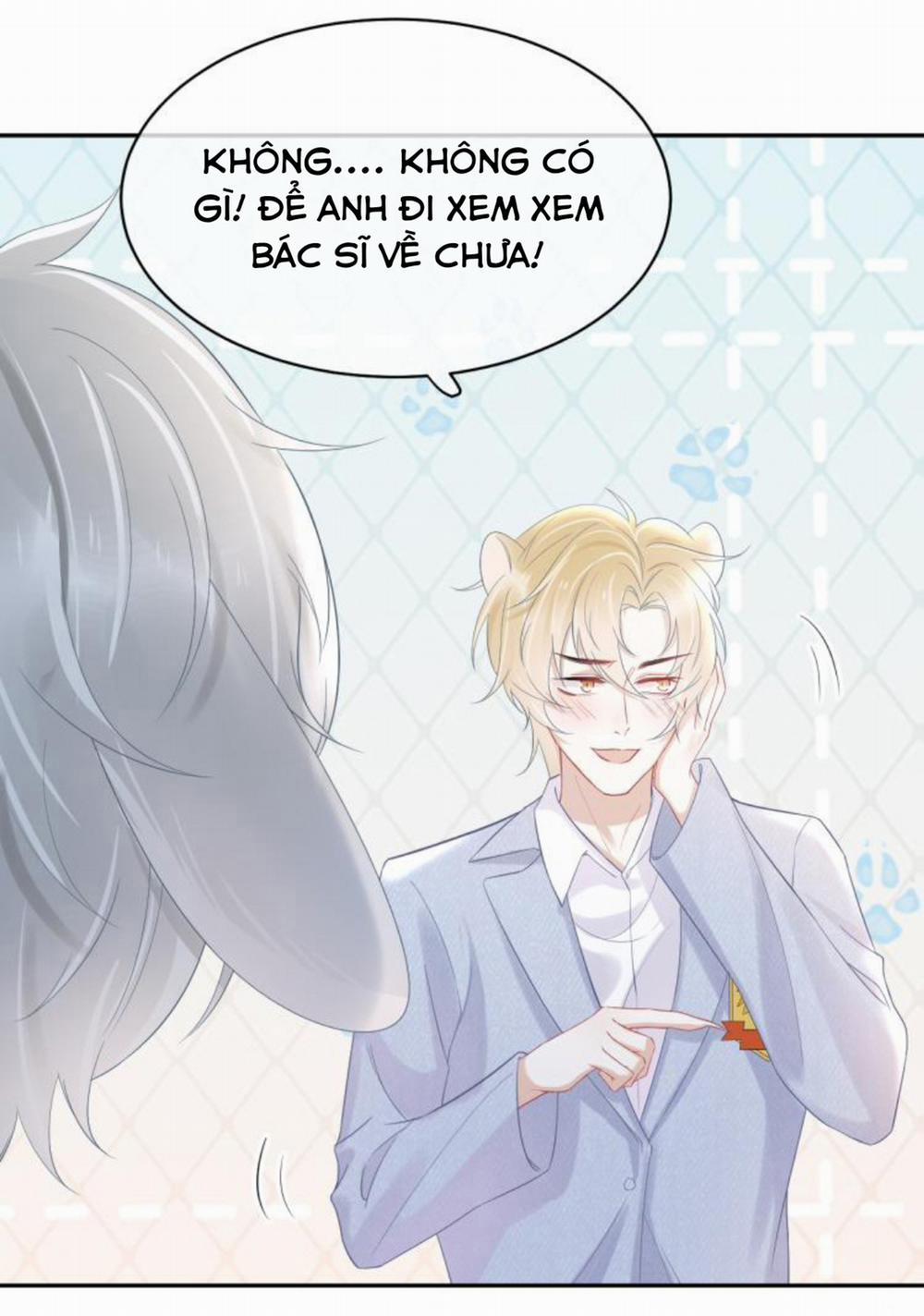 Một Ngụm Ăn Cả Thỏ Con 5 trang 11