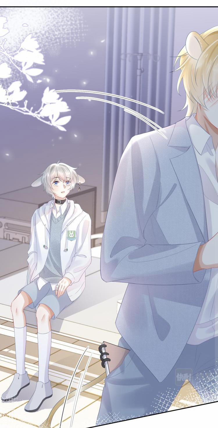 Một Ngụm Ăn Cả Thỏ Con 5 trang 12