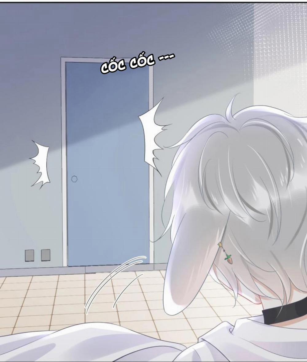 Một Ngụm Ăn Cả Thỏ Con 5 trang 46