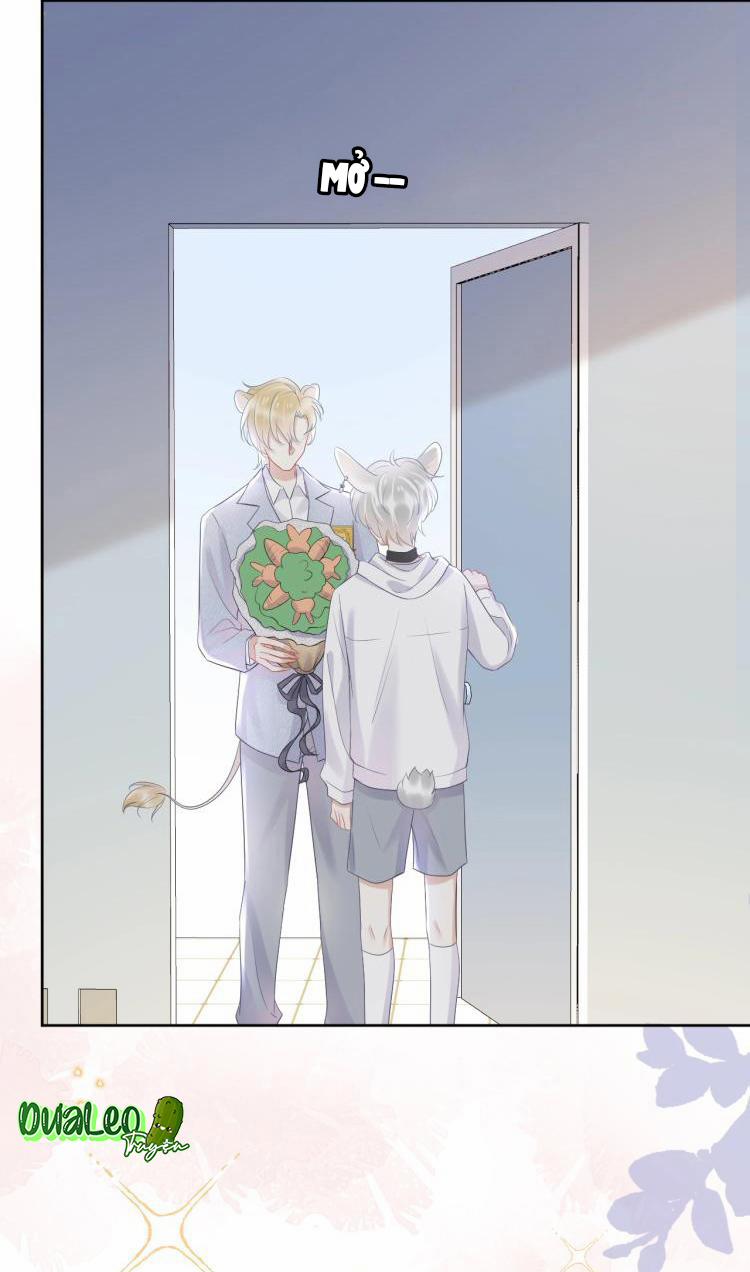 Một Ngụm Ăn Cả Thỏ Con 5 trang 48