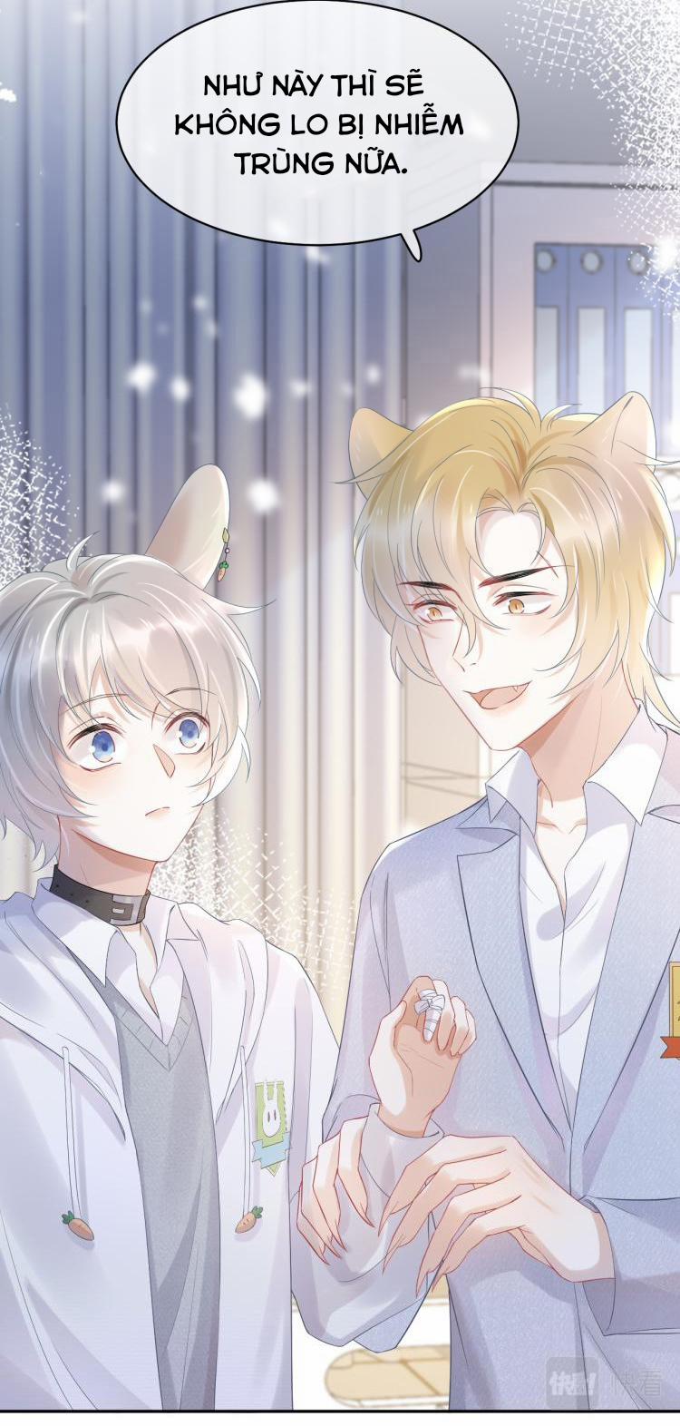 Một Ngụm Ăn Cả Thỏ Con 5 trang 5