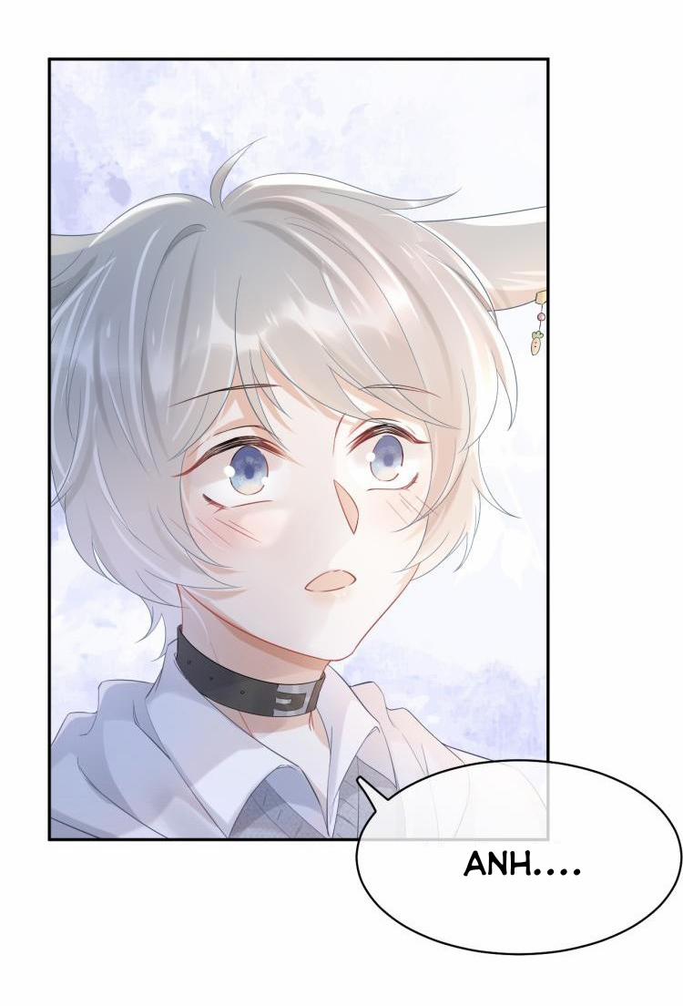 Một Ngụm Ăn Cả Thỏ Con 5 trang 6