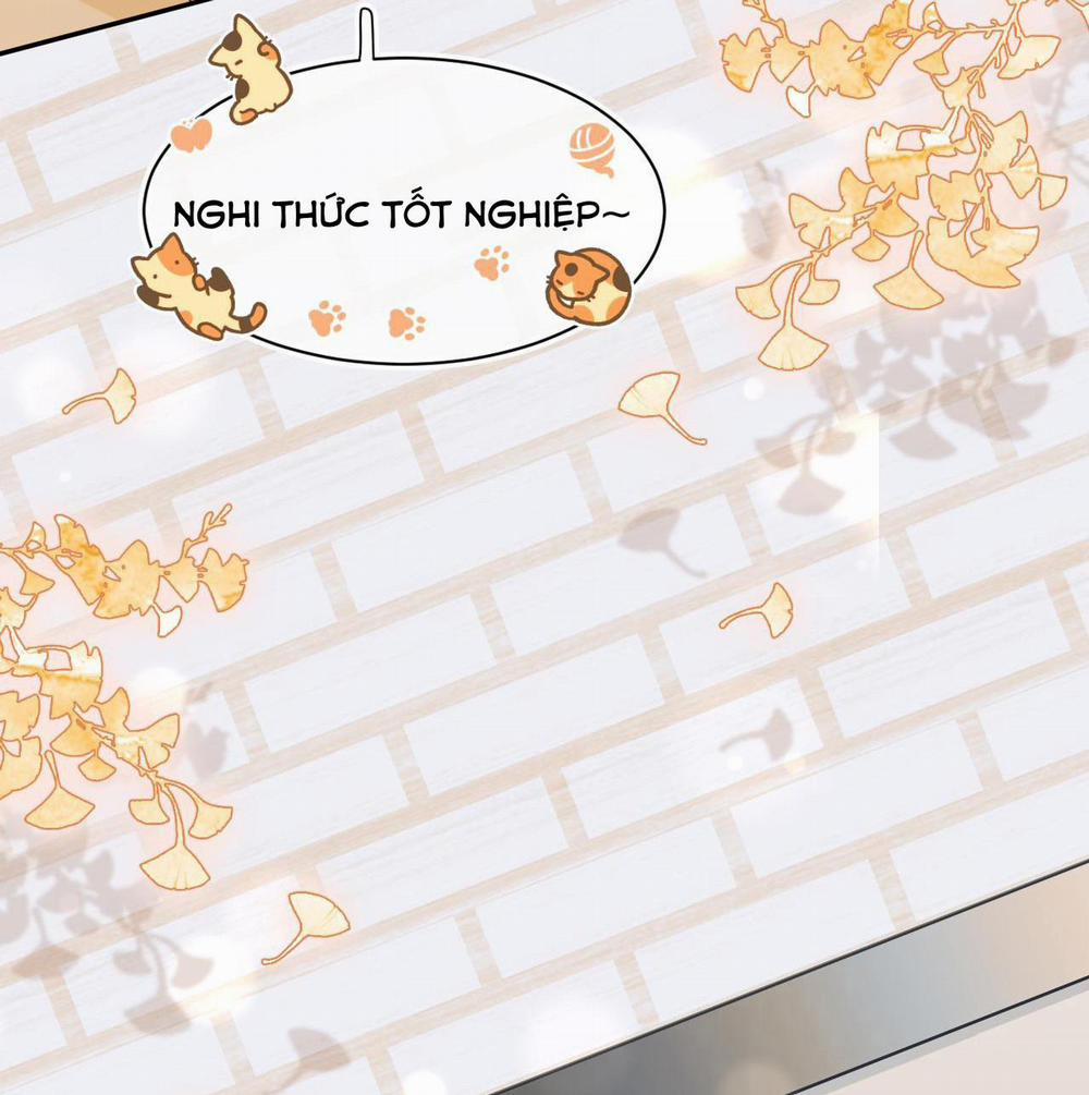 Một Ngụm Ăn Cả Thỏ Con 56 trang 49