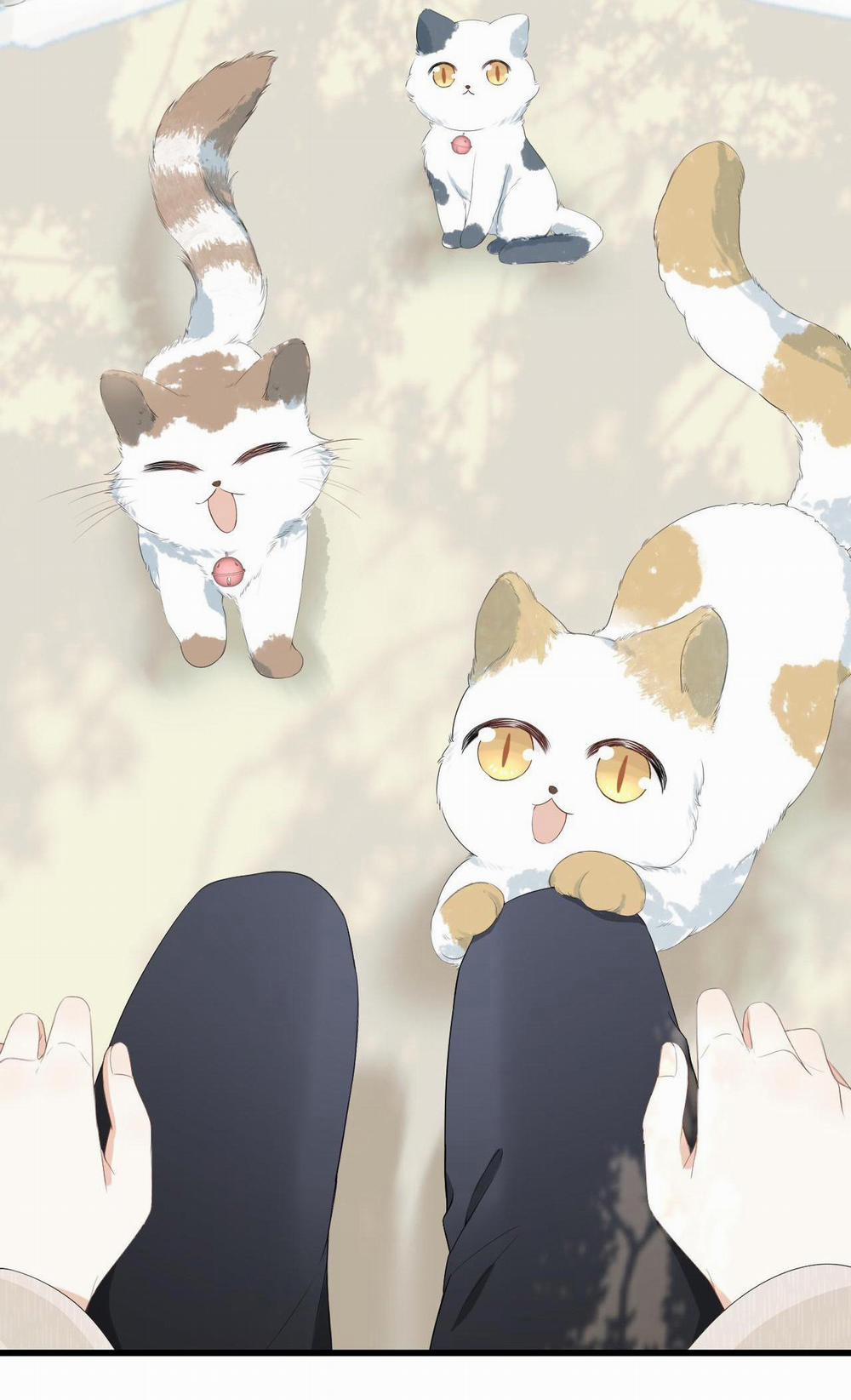 Một Ngụm Ăn Cả Thỏ Con 59 trang 14