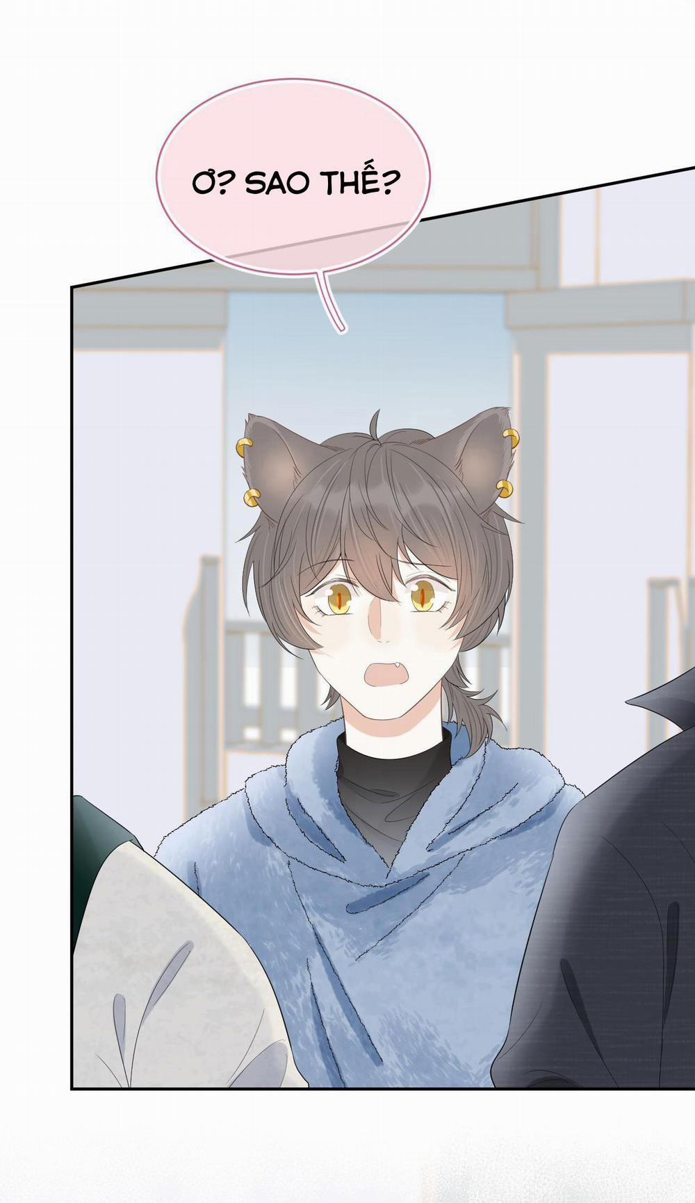 Một Ngụm Ăn Cả Thỏ Con 60 trang 37