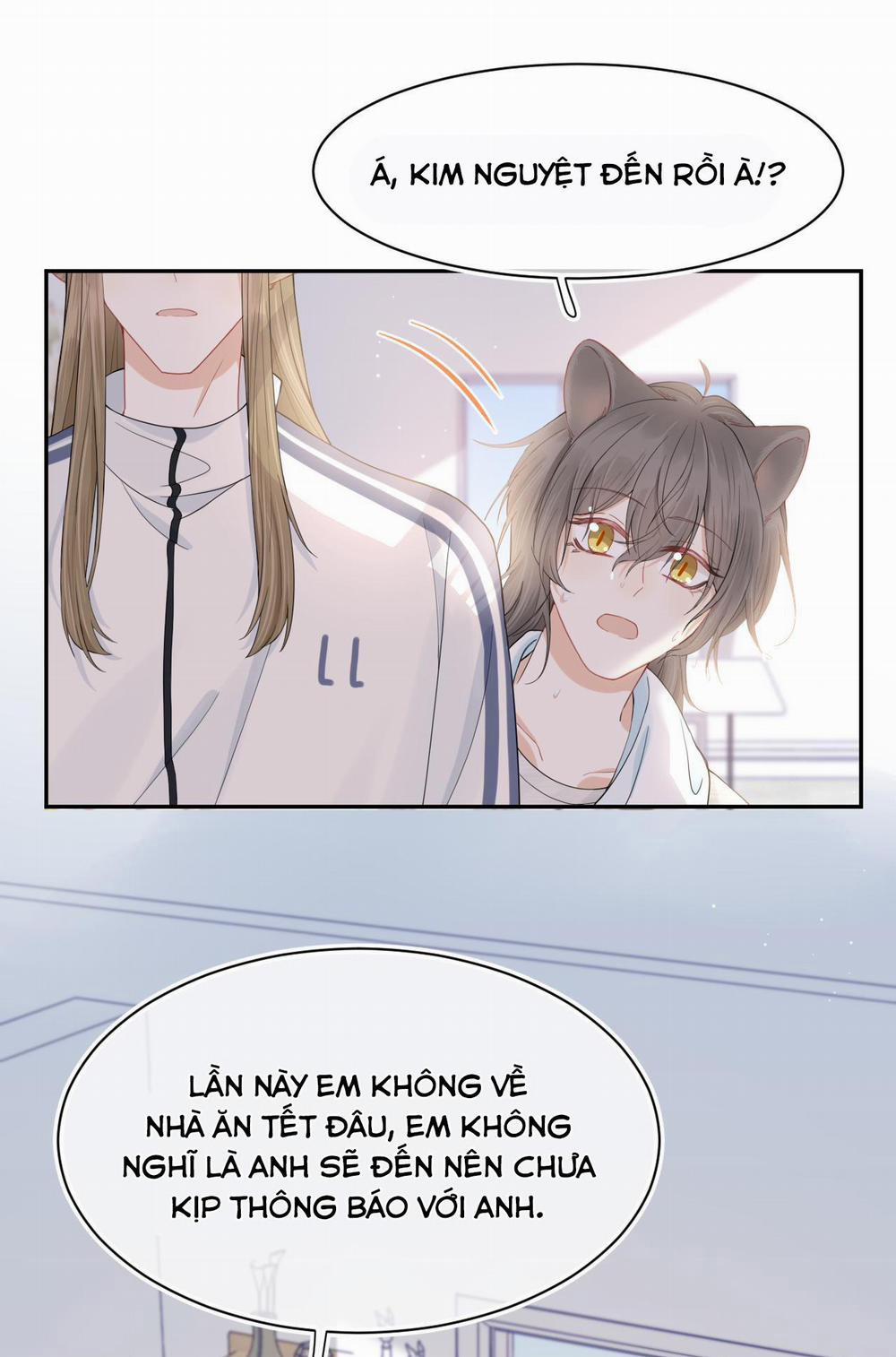 Một Ngụm Ăn Cả Thỏ Con 67 trang 8