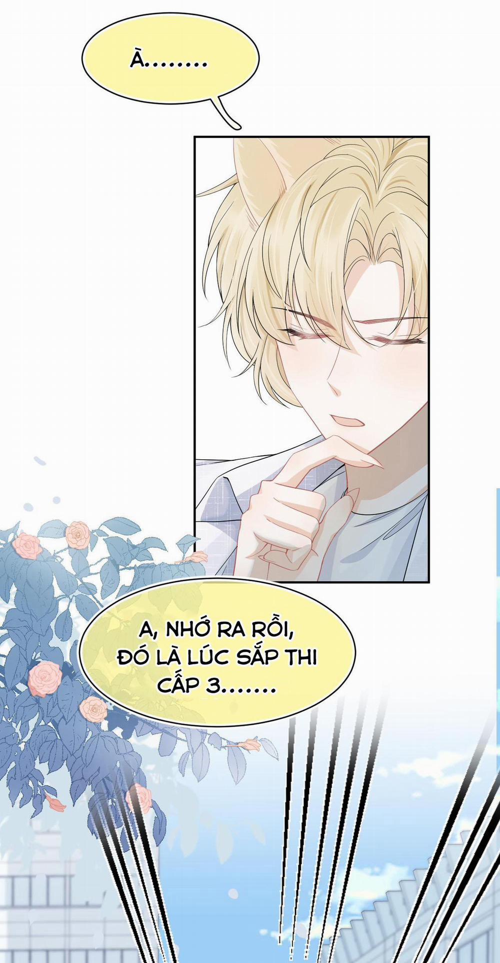 Một Ngụm Ăn Cả Thỏ Con 72 trang 15