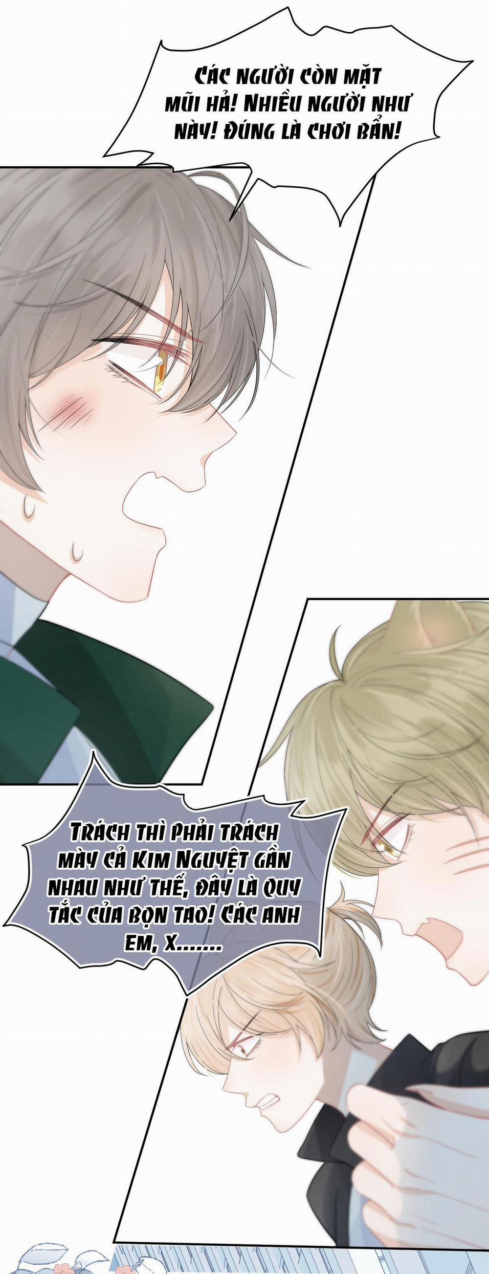 Một Ngụm Ăn Cả Thỏ Con 72 trang 18