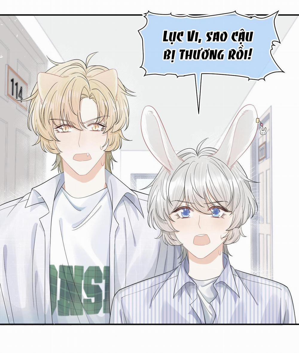 Một Ngụm Ăn Cả Thỏ Con 72 trang 6