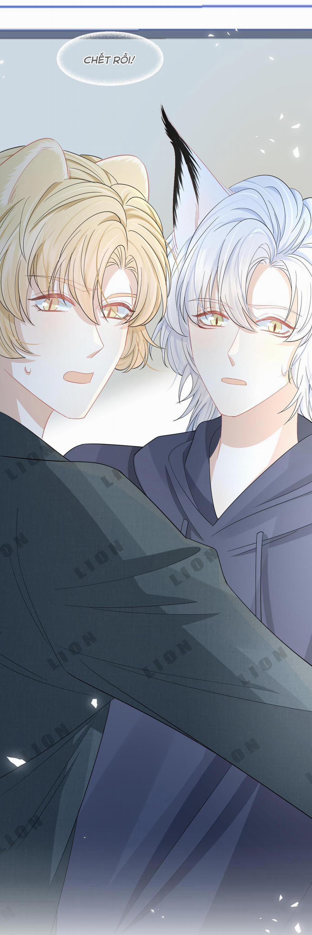 Một Ngụm Ăn Cả Thỏ Con 77 trang 39