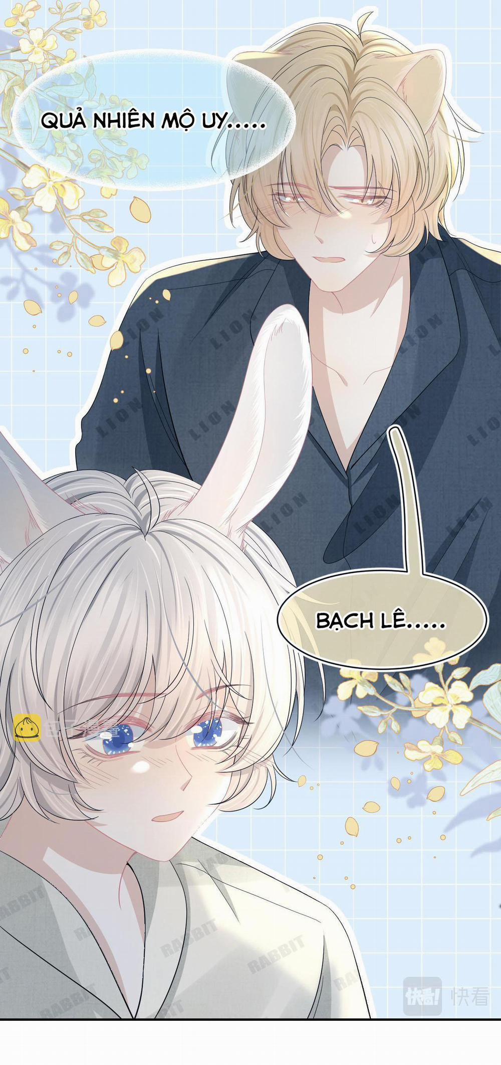 Một Ngụm Ăn Cả Thỏ Con 78 trang 8