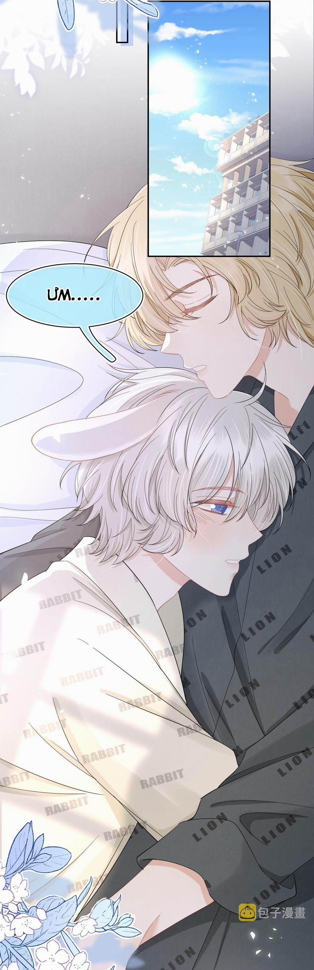 Một Ngụm Ăn Cả Thỏ Con 80 trang 2