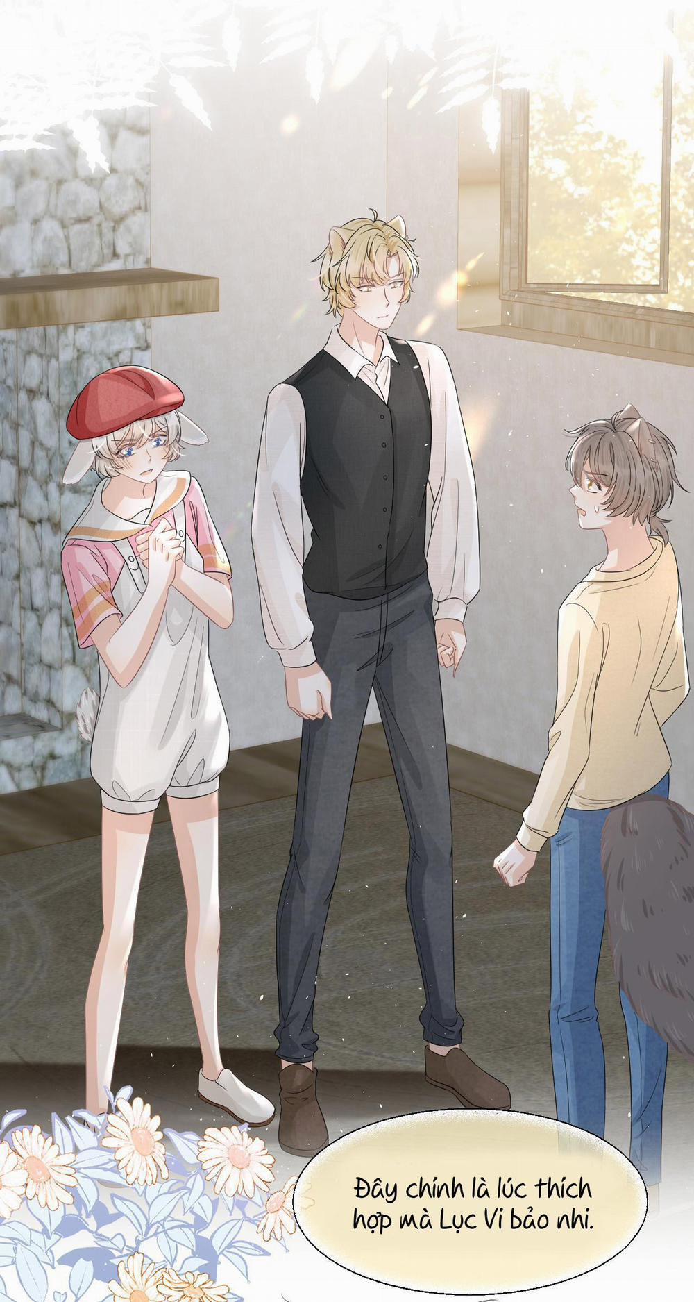 Một Ngụm Ăn Cả Thỏ Con 84 trang 19