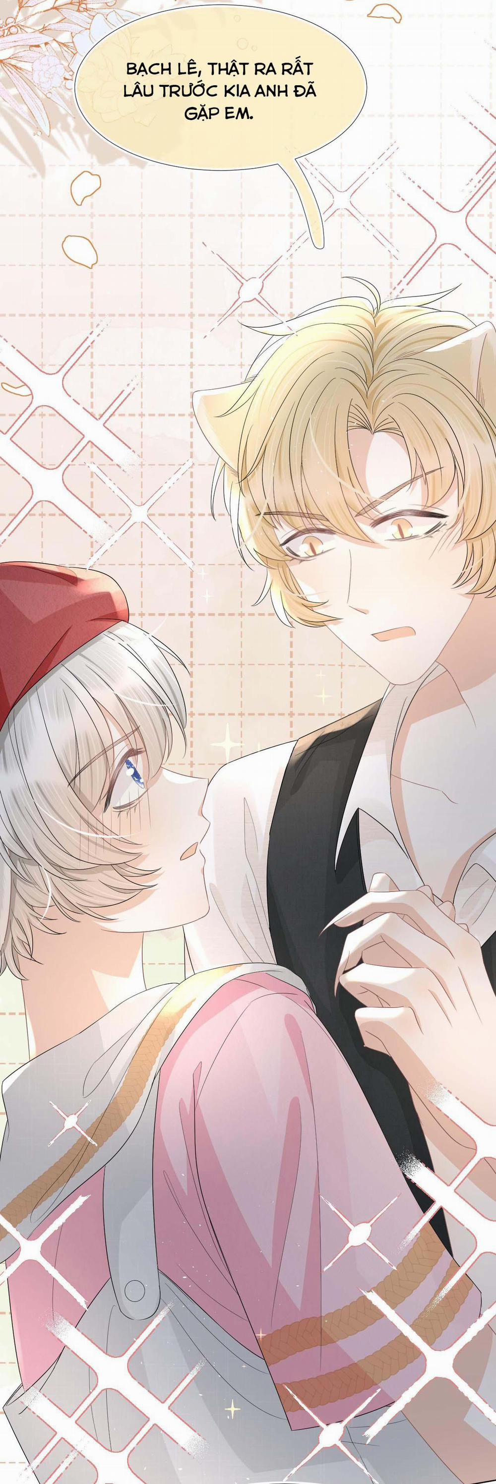 Một Ngụm Ăn Cả Thỏ Con 84 trang 22