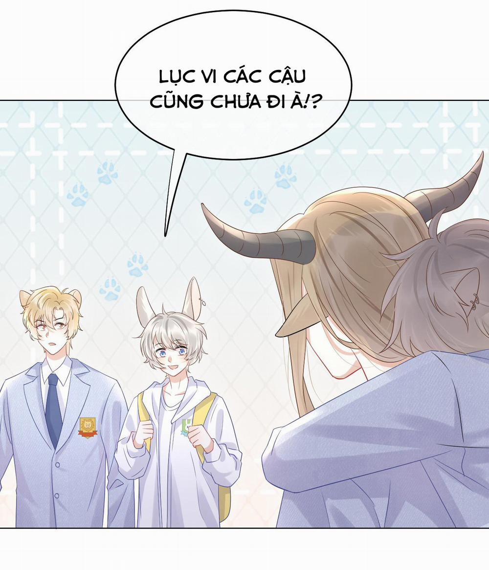 Một Ngụm Ăn Cả Thỏ Con 9 trang 10