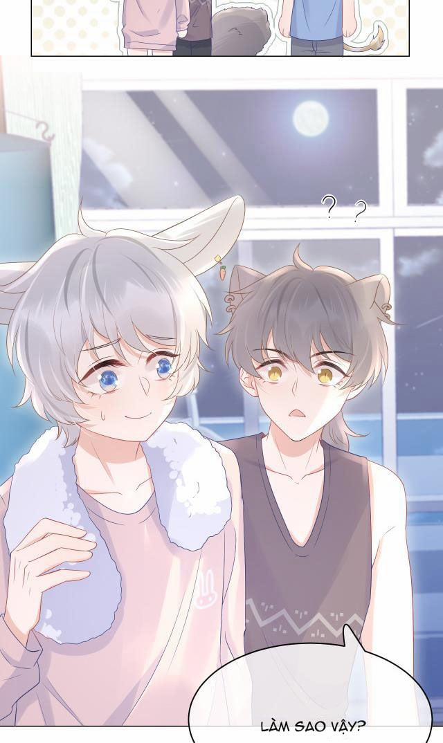 Một Ngụm Ăn Thỏ 11 trang 16