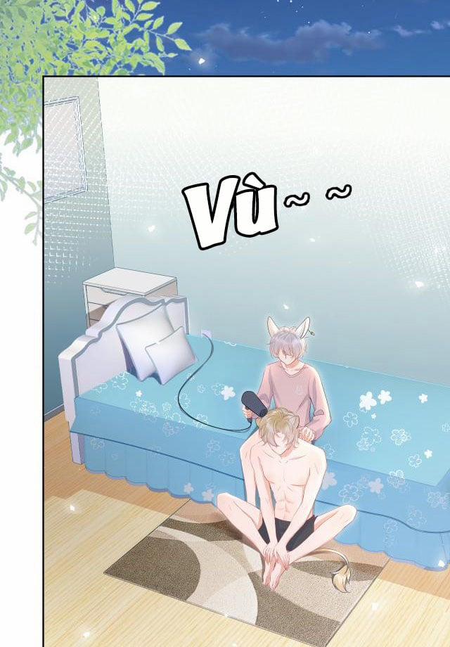 Một Ngụm Ăn Thỏ 11 trang 24