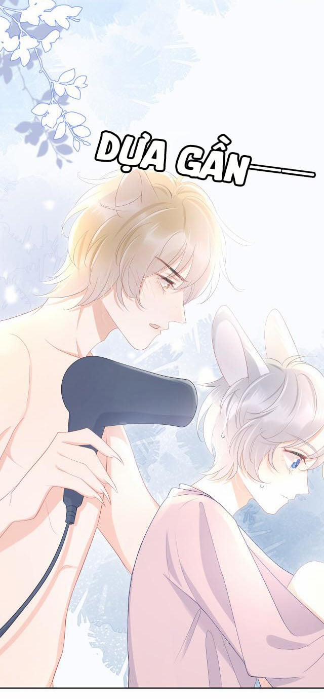 Một Ngụm Ăn Thỏ 11 trang 35