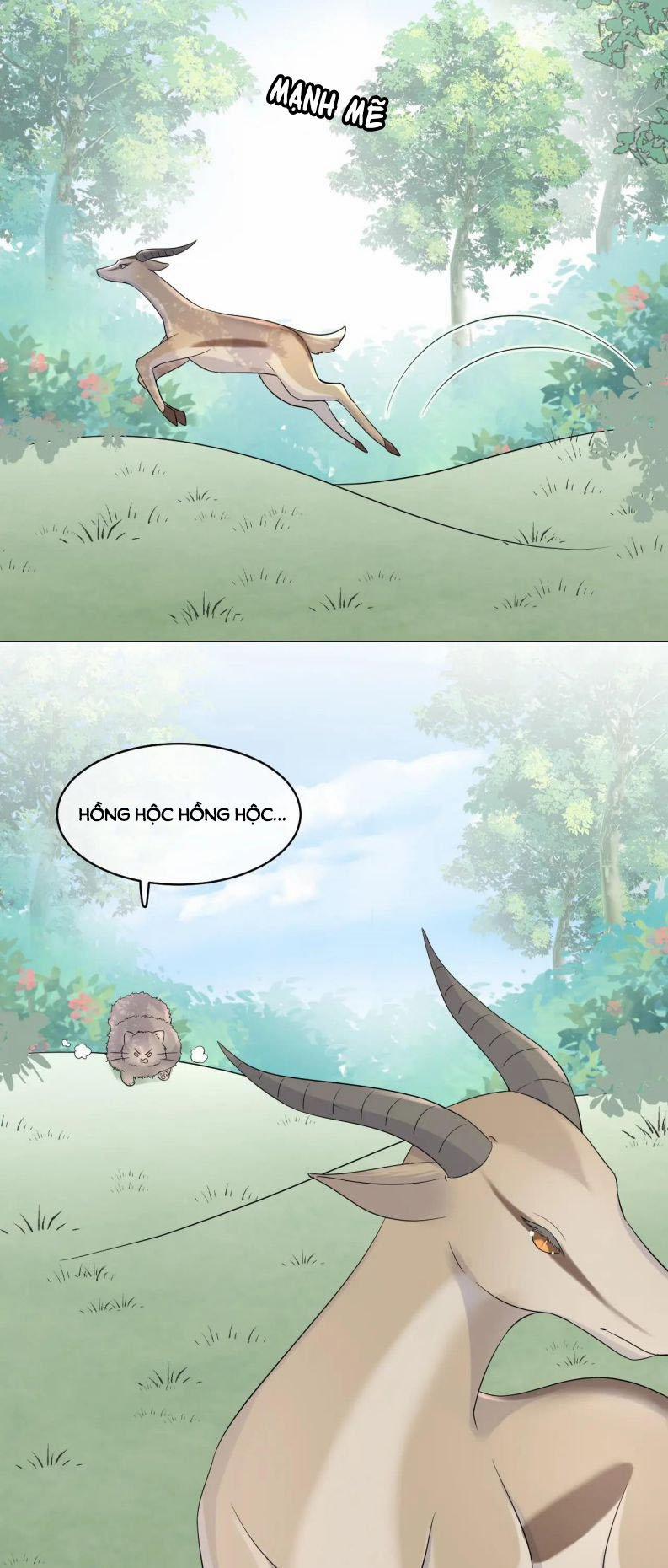 Một Ngụm Ăn Thỏ 12 trang 32