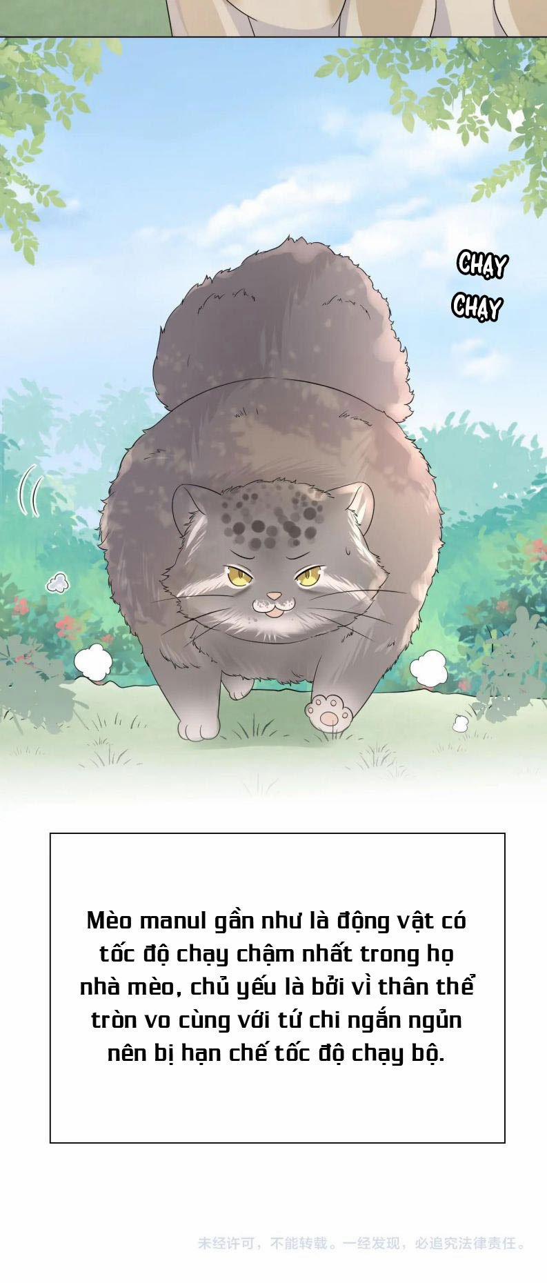 Một Ngụm Ăn Thỏ 12 trang 33