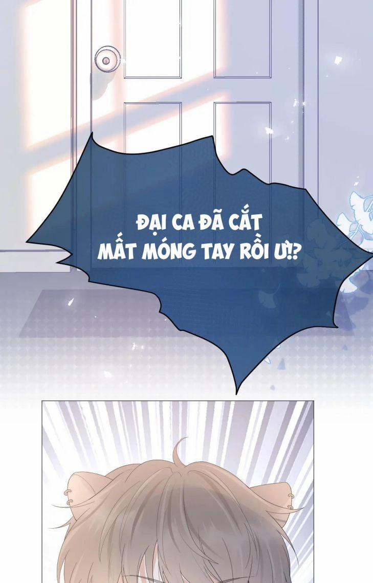 Một Ngụm Ăn Thỏ 13 trang 21