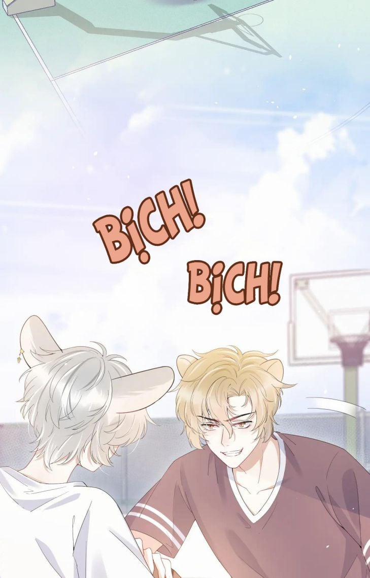 Một Ngụm Ăn Thỏ 13 trang 3