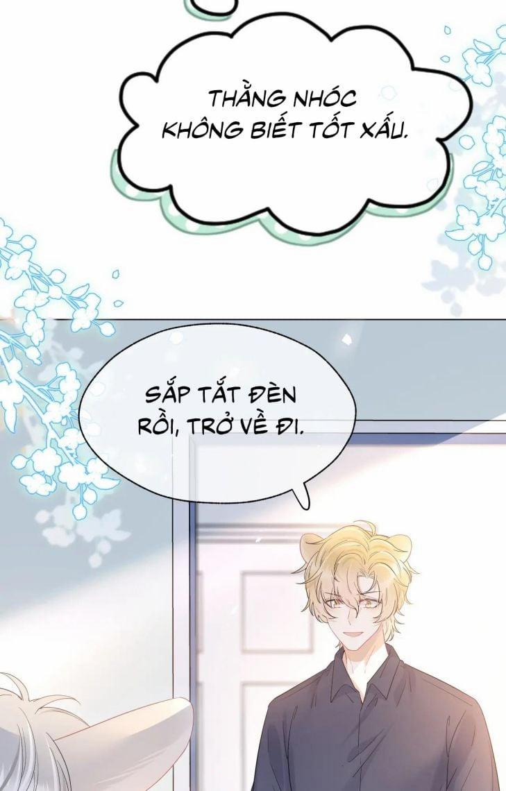 Một Ngụm Ăn Thỏ 13 trang 40