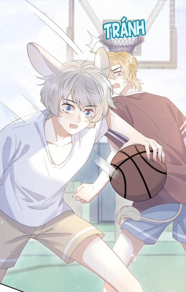 Một Ngụm Ăn Thỏ 13 trang 5