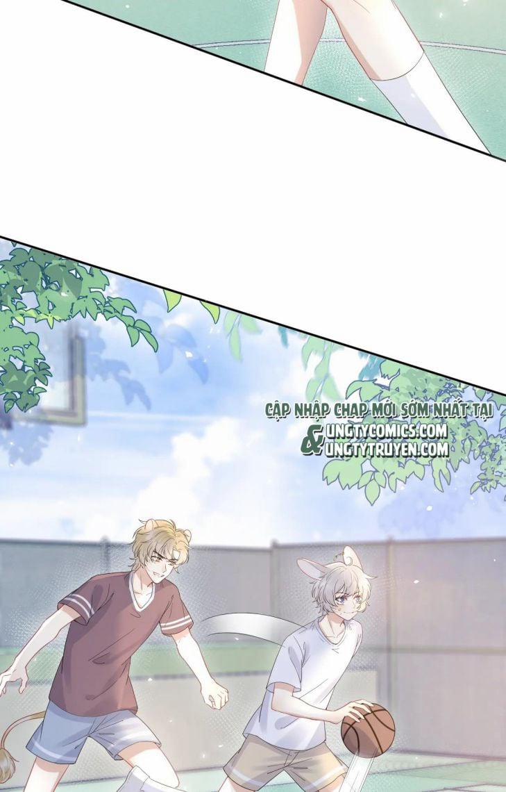 Một Ngụm Ăn Thỏ 13 trang 6