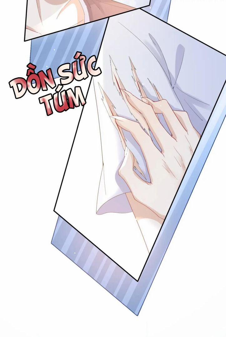 Một Ngụm Ăn Thỏ 13 trang 8