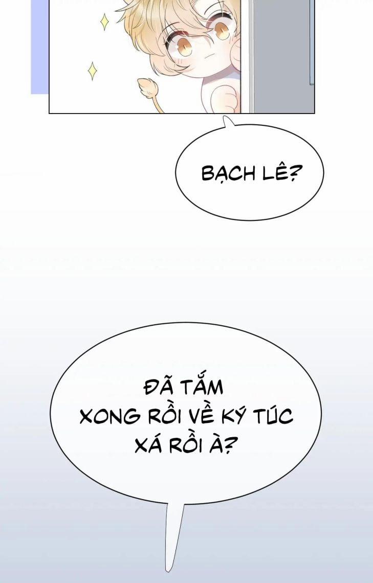 Một Ngụm Ăn Thỏ 15 trang 41