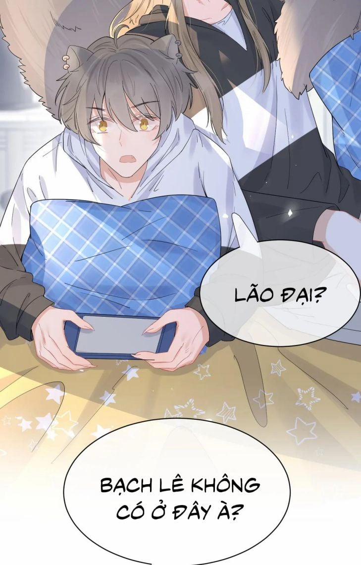 Một Ngụm Ăn Thỏ 15 trang 47