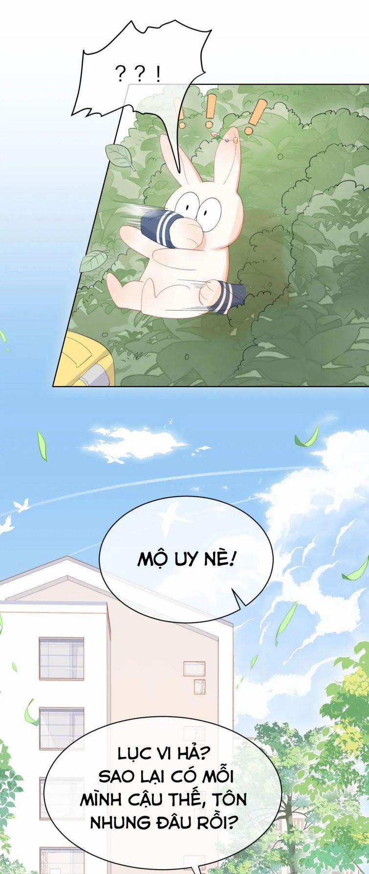 Một Ngụm Ăn Thỏ 19 trang 11