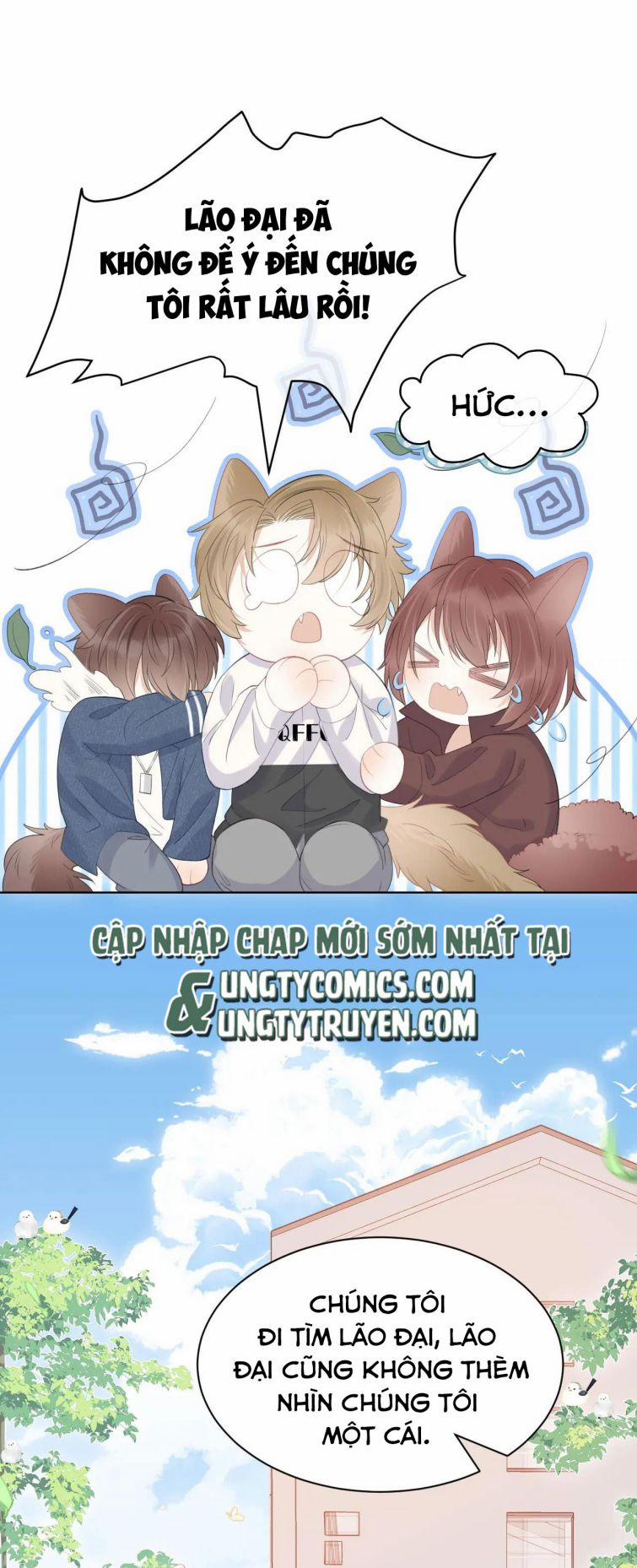 Một Ngụm Ăn Thỏ 19 trang 19