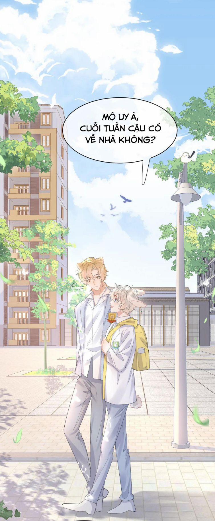 Một Ngụm Ăn Thỏ 19 trang 5