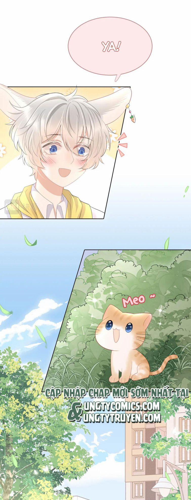 Một Ngụm Ăn Thỏ 19 trang 9