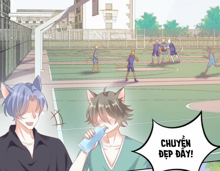 Một Ngụm Ăn Thỏ 2 trang 15