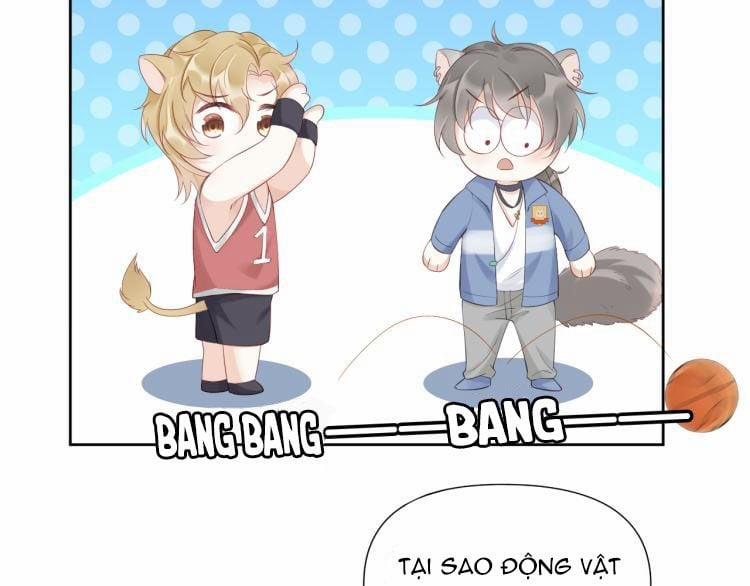 Một Ngụm Ăn Thỏ 2 trang 49