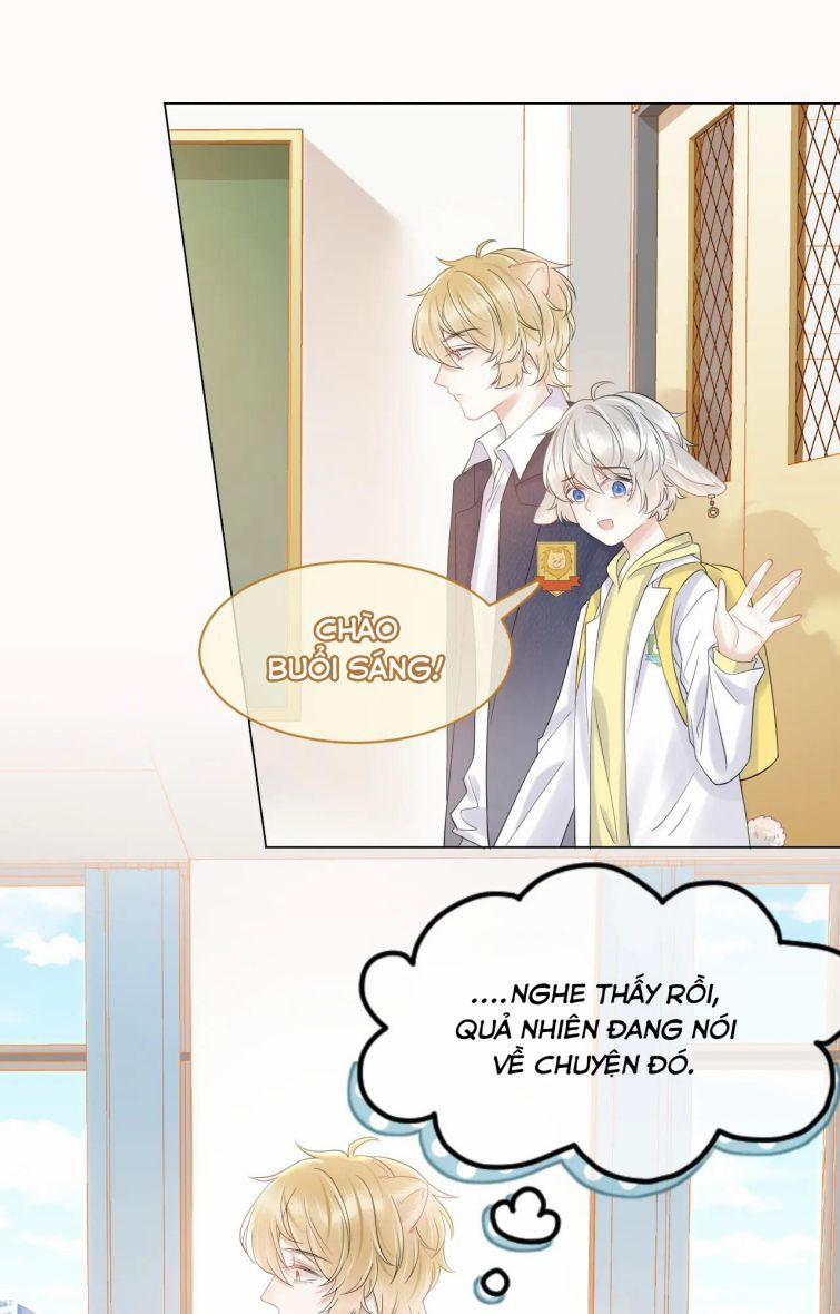 Một Ngụm Ăn Thỏ 28 trang 4