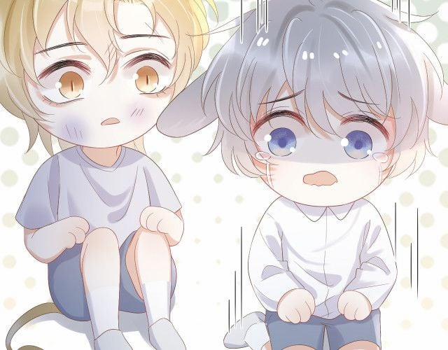 Một Ngụm Ăn Thỏ 3 trang 8