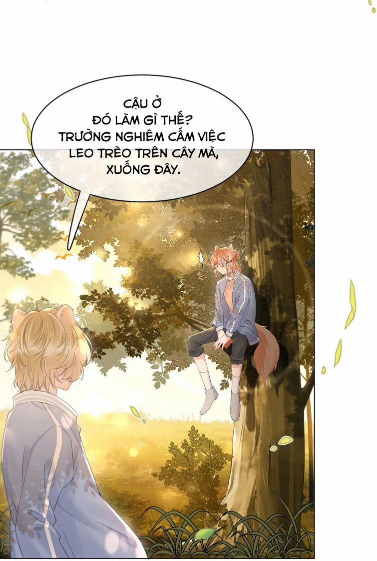 Một Ngụm Ăn Thỏ 30 trang 21