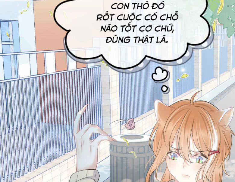 Một Ngụm Ăn Thỏ 31 trang 10