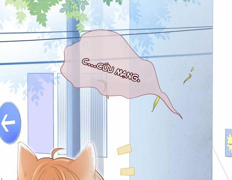 Một Ngụm Ăn Thỏ 31 trang 12