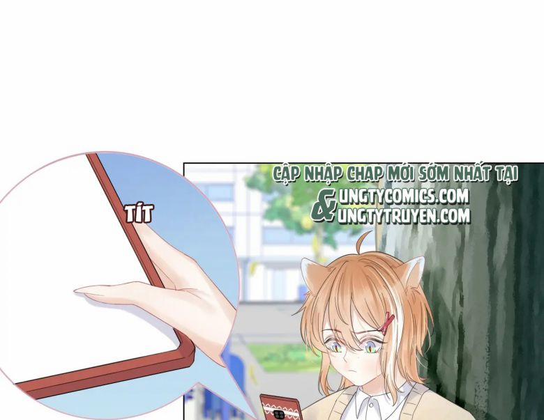 Một Ngụm Ăn Thỏ 31 trang 2