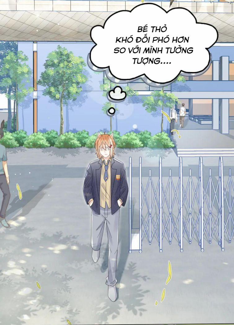 Một Ngụm Ăn Thỏ 32 trang 39